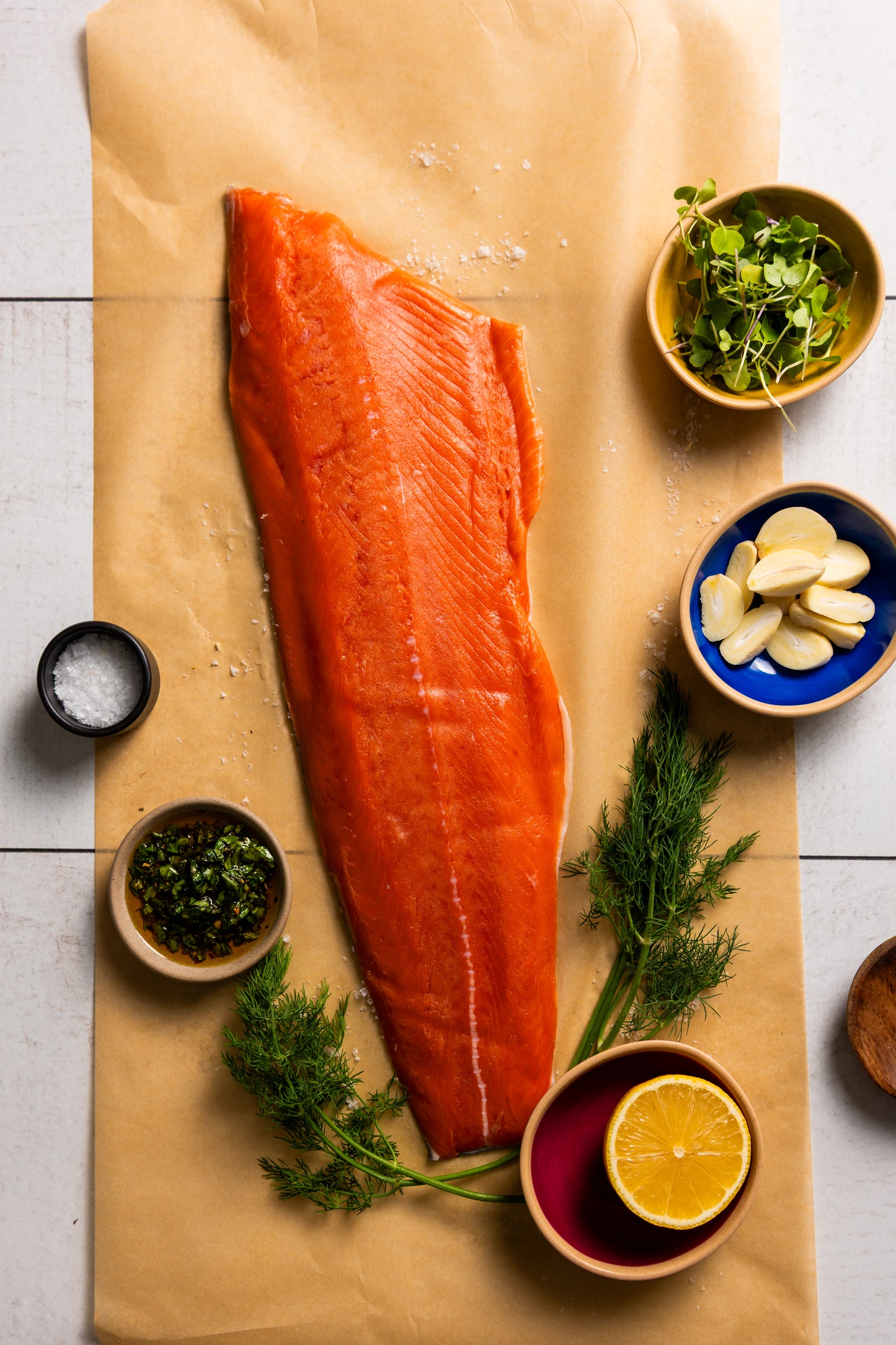 Baker River Sockeye Salmon