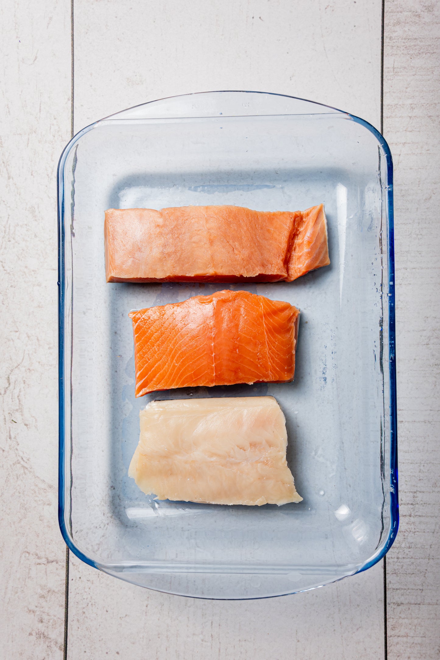 Salish Sea Ivory King