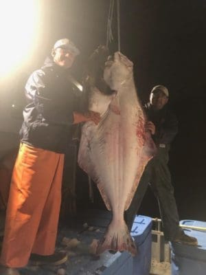 halibut weighs mcdonald salish