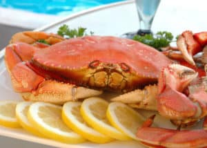 Dungeness Crab - whole cooked