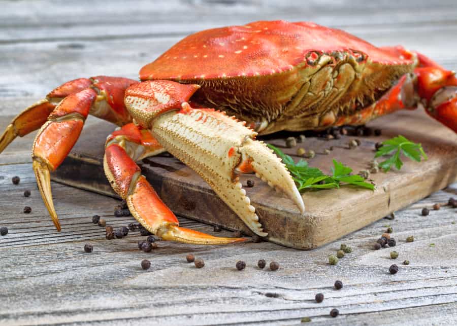 Order Dungeness Crab Online Overnight Shipping