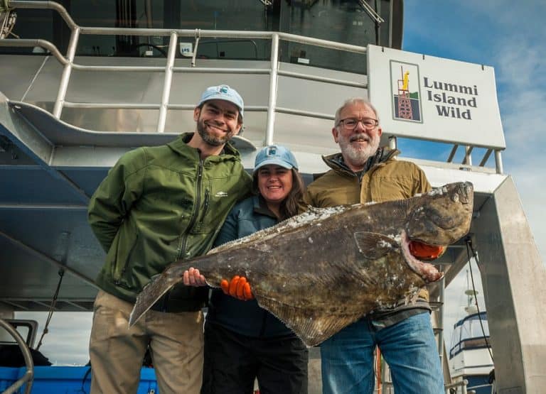 Fresh Halibut Delivered Lummi Island Wild
