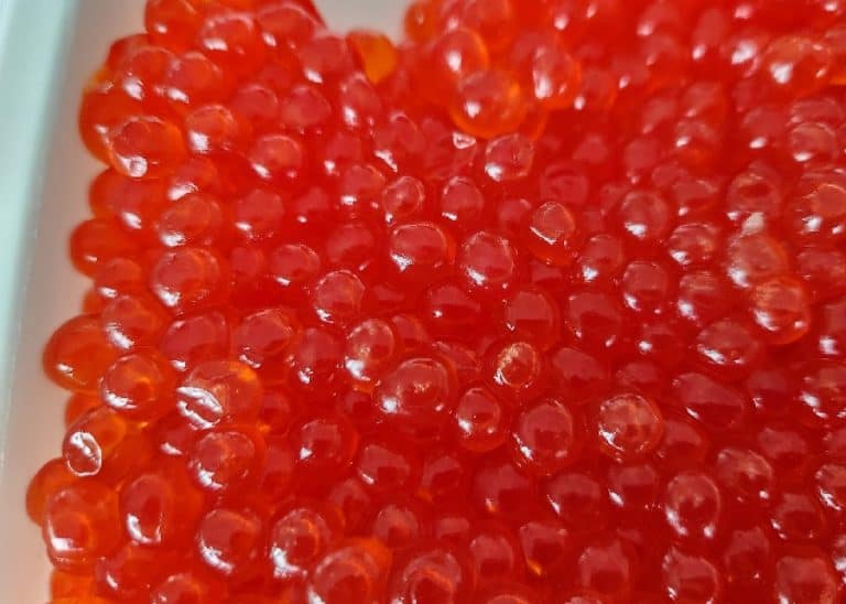 King Salmon Caviar Ikura Salmon Roe Lummi Island Wild
