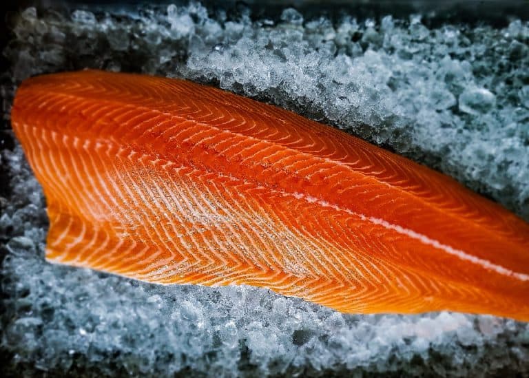 3.5lb Wild King Salmon Fillets Lummi Island Wild